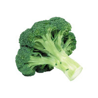 Brócoli