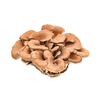 Maitake