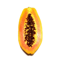 Papaya