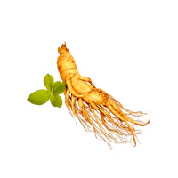 Ginseng siberiano